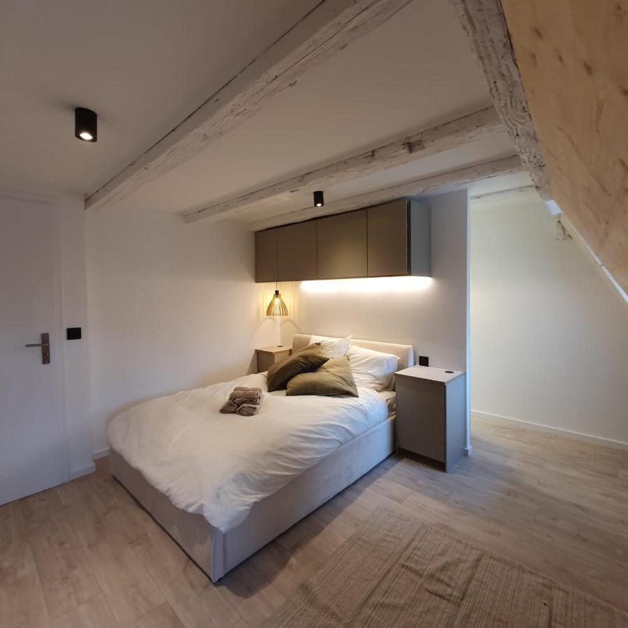 Les Appartements Hyper Centre Strasbourg Exteriör bild